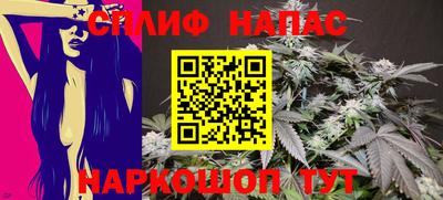 амф Новокубанск