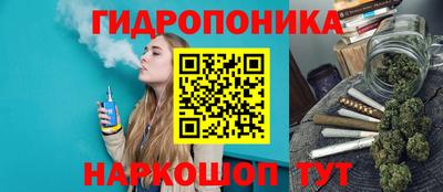 амф Новокубанск