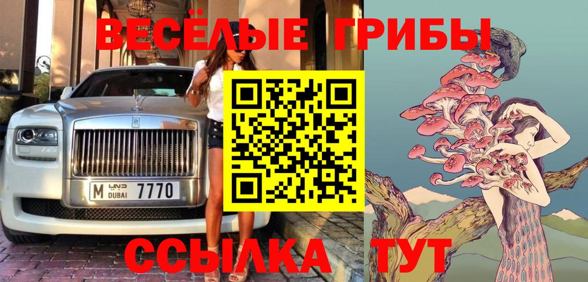Галлюциногенные грибы Psilocybine cubensis  Галлюциногенные грибы прущие грибы  Славянск-на-Кубани  Вход с VPN 